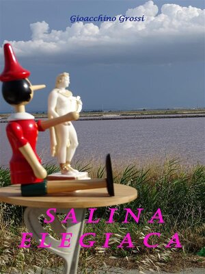cover image of Salina elegiaca